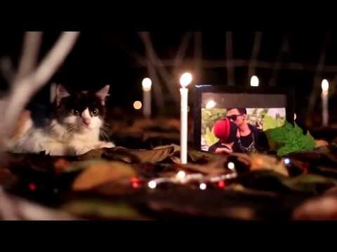 Video Kembalikan Senyumku
