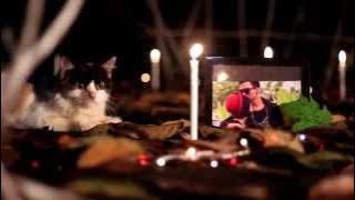 Kembalikan Senyumku - CUBITUS [ VIDEO]