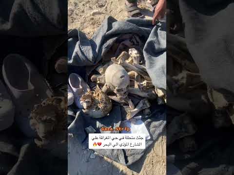 أثناء جولة لي بعد الإنسحاب الإسرائيلي من محور نتساريم وجدت العديد من الجثث المتحللة اشتراك بالقناة
