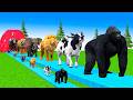 Paint & Animals Cow,Gorilla,Elephant,Giraffe,Tiger,Lion, Fountain Crossing Transformation Cartoon