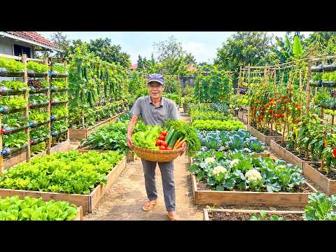 My Garden Has Become the Place Where Most of My Fresh Vegetables Come From