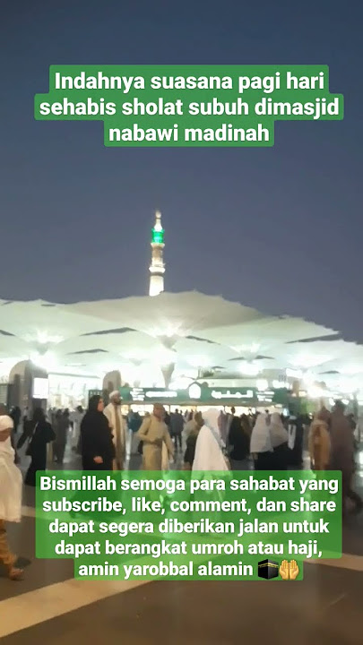 Indahnya suasana pagi selesai sholat subuh di masjid nabawi madinah #kakbah #haji #madinah