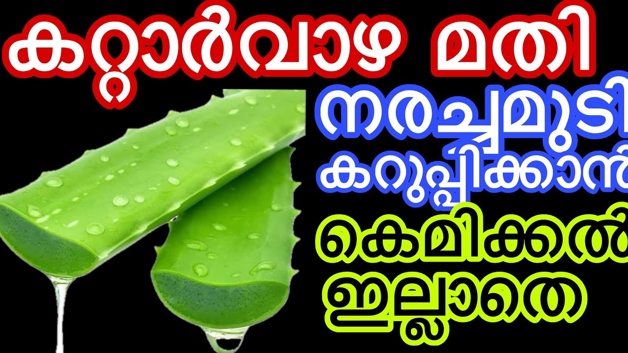കെമിക്കൽ ഇല്ലാതെ നരച്ചമുടി കറുപ്പിക്കാം ഒറ്റയൂസിൽ തന്നെ
