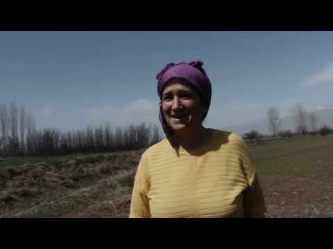 DAYİKA MI / MURAT AKAR