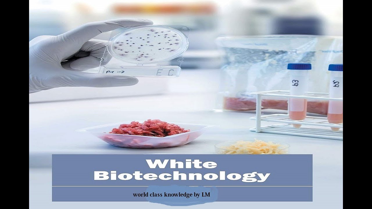 What is industrial biotechnology and importance of white biotechnology