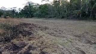 Seting Bebek Std 130Cc Gtx.. By 2Saudara Motor