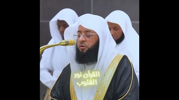 تلاوة خاشعة تأخك إلى عالم اخر 🎧🌴
