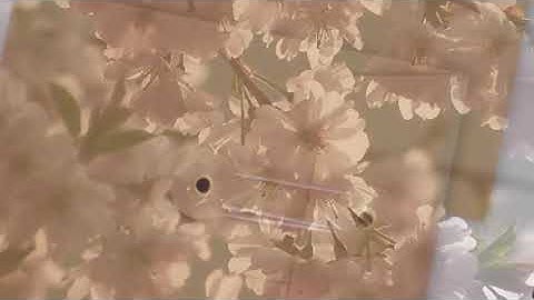 C6 Size String & Washer Envelopes Pack of 10