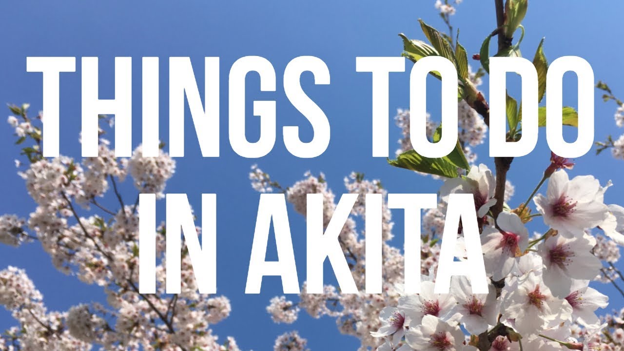 Things To Do in Akita - in Spring
