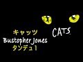 ミュージカル キャッツ バレエ レッスン曲 タンデュ ~ Cats BustopherJones for Ballet