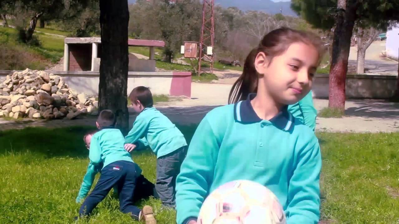 Sarı Zarf