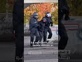 الشرطة الألمانية تنهي اعتصاماً داعماً لفلسطين في برلين وتعتقل عدداً من الناشطين داخل مبنى بيربنزل