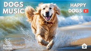 Calming Music for Dog to Calm Down, Relax &amp; Sleep | Dog Music Therapy Calming Aid for Relaxation