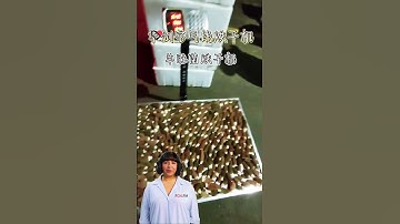 Discover the Ultimate Solution for Your Dehydration Needs with Our Advanced Drying Machine Technolog