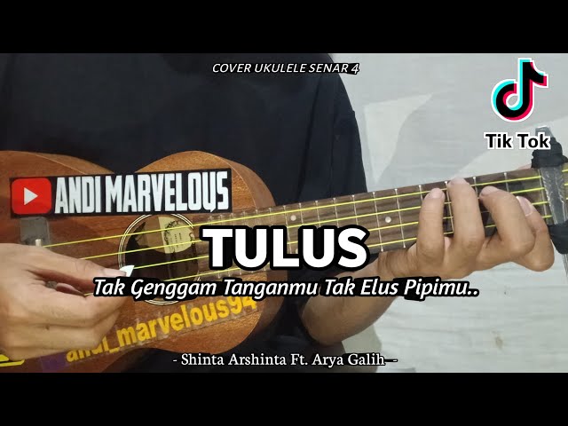 Tak Genggam Tanganmu Tak Elus Pipimu - ( TULUS ) Cover Ukulele By Andi Marvelous class=