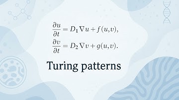 Turing Patterns - Scientific Definition