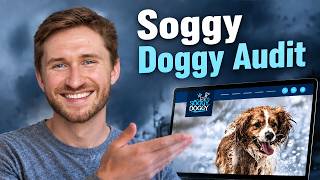 Details Ecommerce Customer Acquisition Strategy: How Soggy Doggy can 10x their online sales | Intergrowth® News