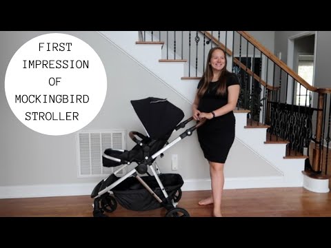 mockingbird stroller double