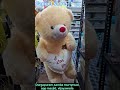 Soft toys available at Gadget Store vijayawada