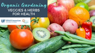 Organic Gardening Series: Veggies & Herbs for Health by UF IFAS Extension Manatee County 98 views 2 years ago 1 hour, 16 minutes