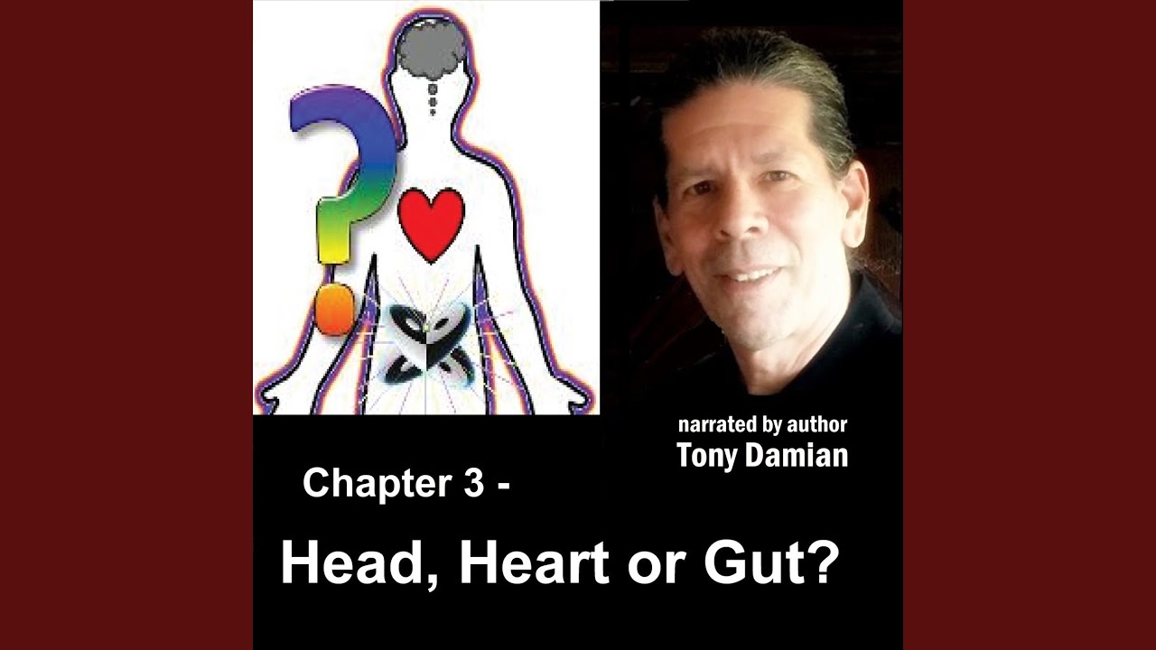 Chapter 3 - Head, Heart or Gut?
