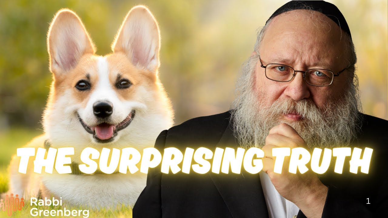 DOGS MADE TORAH SCROLLS?! 7 INSANE Jewish Dog Facts That Will Make Your Rabbi GASP!