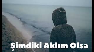 Şimdiki Aklım Olsa ( pişmanlığım var benim )