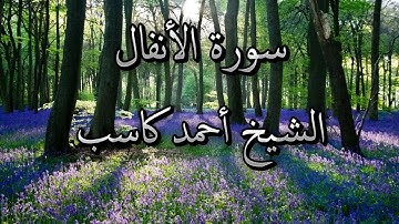 سورة الأنفال - الشيخ أحمد كاسب Surah Al-Anfal by Ahmed Kasib