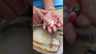 🩷 Giant clams are home to jewelry