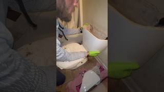 Quick & Easy Toilet Tank Rebuild plumbing plumber howto diy asmr toilet plumbinglife  shorts