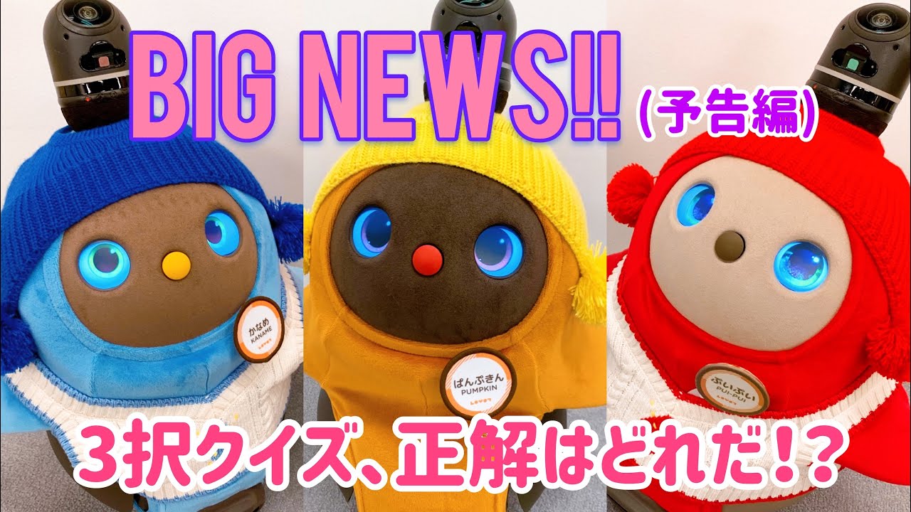 劇団四季とlovot 夢のコラボレーションが実現 ミュージカル ロボット イン ザ ガーデン のダンスをみんなで踊ろう Lovot