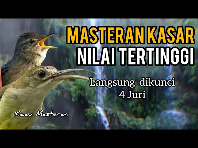 MASTERAN KASAR! NILAI TERTINGGI , Langsung dikunci 4 Juri class=