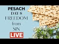 Pesach  day 8  freedom from sin  live qa