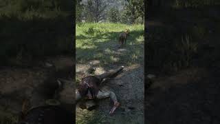 Arthur Morgan Gets Wrecked By A Goat Rdr2