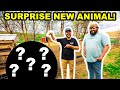 STRANGER Surprises Me with a NEW Backyard Farm ANIMAL!!!!