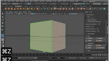 Quads, Tris and Ngons