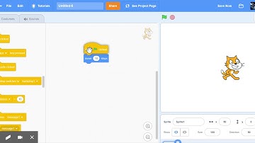 Adding and Deleting Commands in Scratch