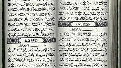 سورة القيامة   داود حمزة