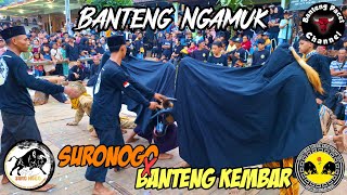 SuroNogo ft Banteng Kembar Live Dsn Soso Pacet || Banteng Tarung Ngamuk