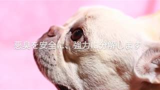 犬のおすすめの消臭剤ならバイオ美容液プリモエッセンス