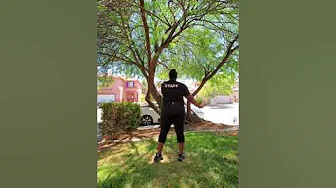 Vegas Stars Tryout Dance 2020