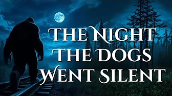 That Night The Dogs Went Silent - Then He Saw Why
