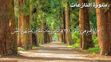 سورة النازعات بصوت جميل جدا يشرح القلب _ الشيخ ياسر الدوسري