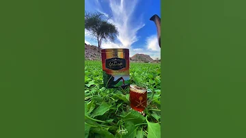 عليك بالشاهي اللي غادي لونه 