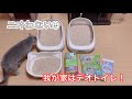 【ニオわない猫トイレ】我が家はデオトイレを使っています！