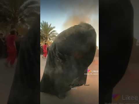 هاكذا حال السيدة زينب بعد ان بقت وحيده