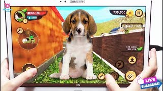 Dog Simulator "Dog Sim Online: Raise a Family" Android (Mobil) Gameplay (HANDYCAM) screenshot 5