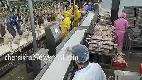 Why Is automatic weight sorting machine So Popular Right Now?