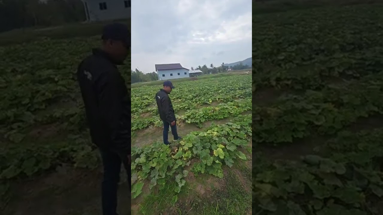 2026 03 06 4 La Kensuoch