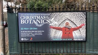 Christmas at The Botanics 2019: Holding hands lights up Edinburgh festive showstopper